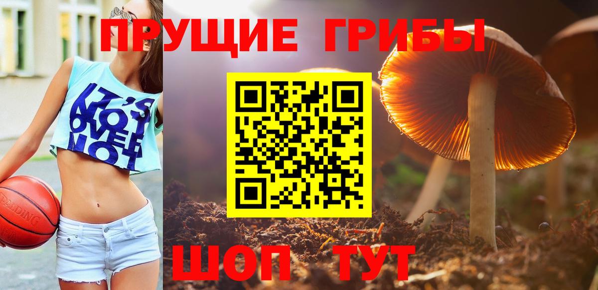 Галлюциногенные грибы мухоморы  Галлюциногенные грибы мухоморы  Вход с VPN  Реутов 